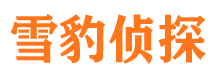 高邮外遇调查取证